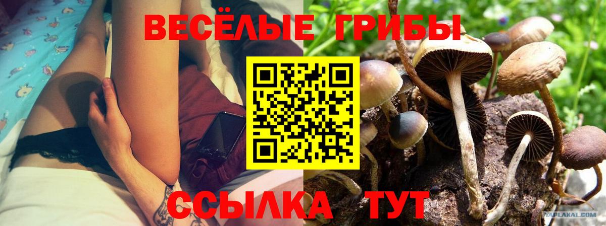 купить наркотик  Галлюциногенные грибы прущие грибы  Вход с VPN  Бахчисарай 